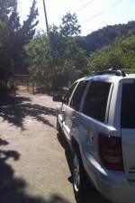 Watch Nefarious Nellie 9Movies