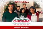 Watch A Chestnut Family Christmas 9Movies