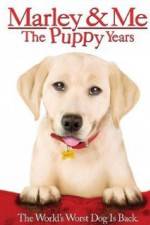 Watch Marley and Me The Puppy Years 9Movies