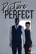 Watch Picture Perfect 9Movies