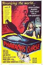 Watch Pharaohs Curse 9Movies