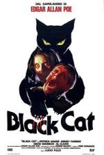 Watch The Black Cat 9Movies