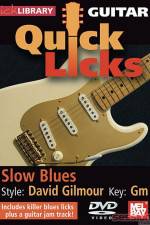 Watch Lick Library Quick Licks David Gilmour 9Movies