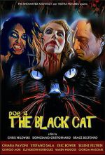 Watch POE 4: The Black Cat 9Movies