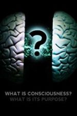 Watch What Is Consciousness? What Is Its Purpose? 9Movies
