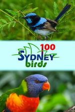 Watch 100 Sydney Birds 9Movies