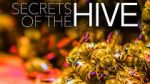 Watch Secrets of the Hive 9Movies