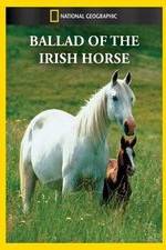 Watch Ballad of the Irish Horse 9Movies