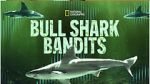 Watch Bull Shark Bandits 9Movies