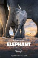 Watch Elephant 9Movies