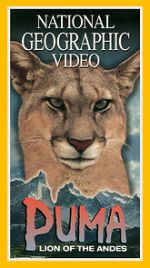 Watch Puma: Lion of the Andes 9Movies