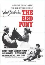 Watch The Red Pony 9Movies