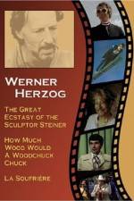 Watch Die große Ekstase des Bildschnitzers Steiner 9Movies