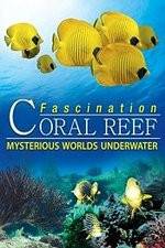 Watch Fascination Coral Reef: Mysterious Worlds Underwater 9Movies