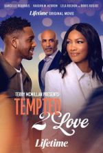 Watch Terry McMillan Presents: Tempted 2 Love 9Movies