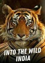 Watch Into the Wild India 9Movies