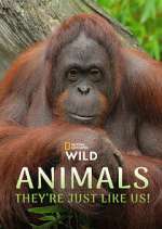 Watch Animals, They\'re Just Like Us! 9Movies