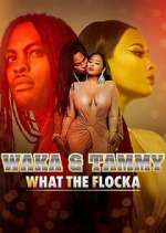 Watch Waka & Tammy: What the Flocka 9Movies