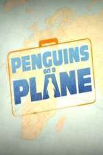 Watch Penguins on a Plane 9Movies