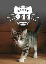 Watch Kitty 911 9Movies