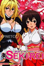 Watch Sekirei 9Movies