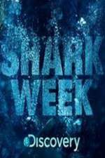 Watch Shark Week 9Movies