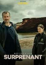 Watch DÃ©tective Surprenant : la fille aux yeux de pierre 9Movies