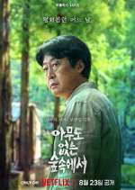 Watch The Frog 9Movies