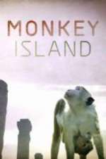 Watch Monkey Island 9Movies