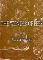 Watch The Wonder of Bees with Martha Kearney 9Movies