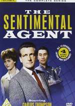 Watch The Sentimental Agent 9Movies