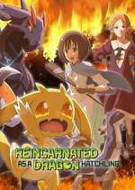 Watch Reincarnated as a Dragon Hatchling 9Movies