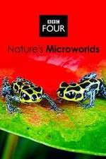 Watch Natures Microworlds 9Movies