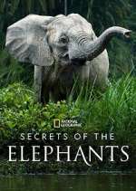 Watch Secrets of the Elephants 9Movies