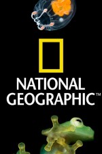 Watch Nat Geo Amazing! 9Movies