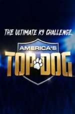 Watch America\'s Top Dog 9Movies