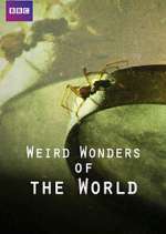 Watch Weird Wonders of the World 9Movies