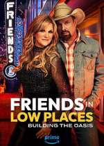 Watch Friends in Low Places 9Movies