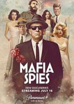 Watch Mafia Spies 9Movies