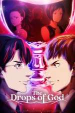 Watch The Drops of God 9Movies