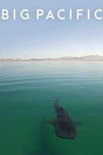 Watch Big Pacific 9Movies