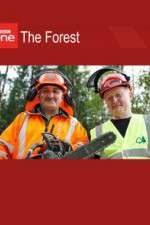 Watch The Forest 9Movies