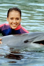 Watch Flipper (The New Adventures of Flipper) 9Movies