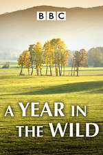 Watch A Year in the Wild 9Movies