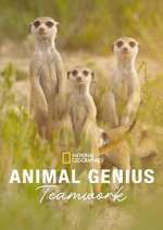 Watch Animal Genius 9Movies