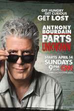 Watch Anthony Bourdain Parts Unknown 9Movies