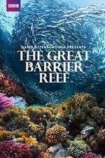 Watch Great Barrier Reef with David Attenborough 9Movies