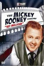 Watch The Mickey Rooney Show 9Movies
