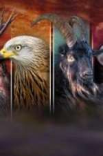 Watch Wales: Land of the Wild 9Movies