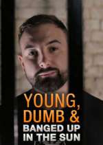 Watch Young Dumb & Banged Up in the Sun 9Movies